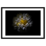 Backyard Flowers No 25 Color Flow Version thumbnail