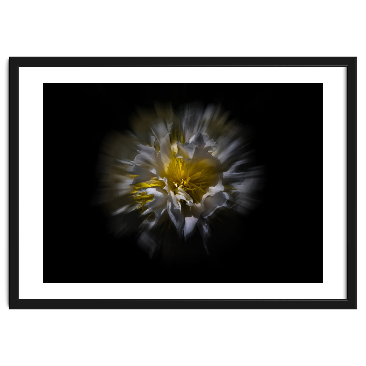 Backyard Flowers No 25 Color Flow Version