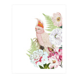 Cockatoo in Flower Jungle  (Print Only) thumbnail
