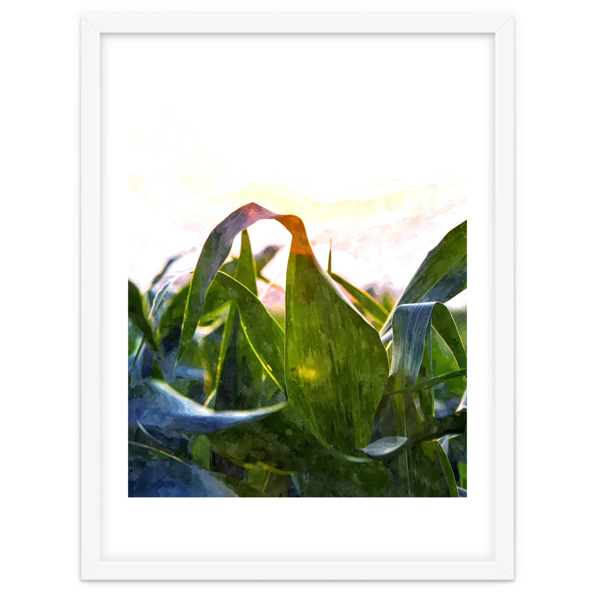 Hope With Abstraction