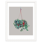 Hanging Plant thumbnail