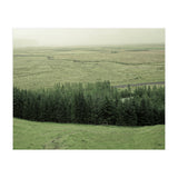 Small forest - Iceland (Print Only) thumbnail
