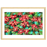 Red flowers thumbnail