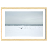Seagulls in the Snow beach thumbnail