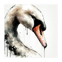 Watercolor Swan Portrait (Print Only)