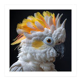 Close Up Of A Cockatoo Parrot With Yellow Crest (Print Only) thumbnail