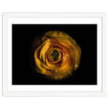 Backyard Flowers No 72 Color Version thumbnail