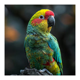 Vibrant Amazon Parrot Perched On A Branch (Print Only) thumbnail