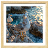 Seagull Standing On Rocks Near Water thumbnail