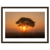Tree at sunrise thumbnail
