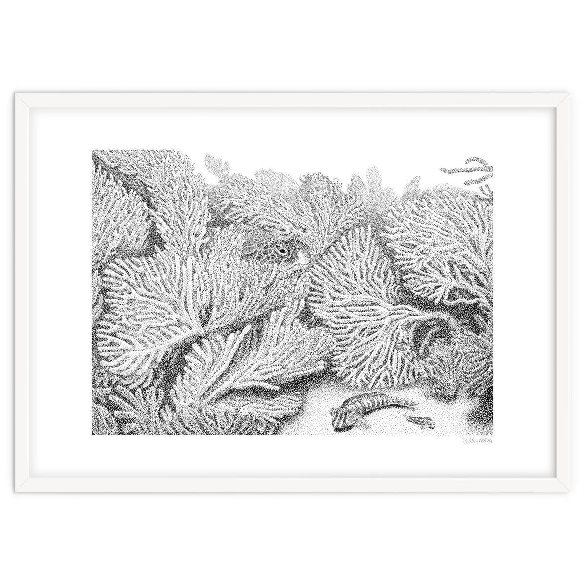 Hidden in plain sight