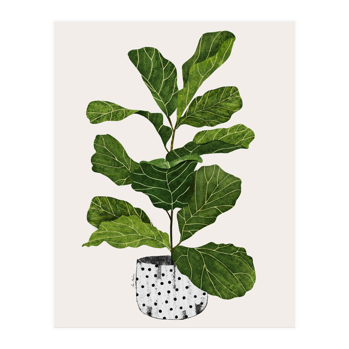 Fiddle Leaf Fig Tree Plant (Print Only)
