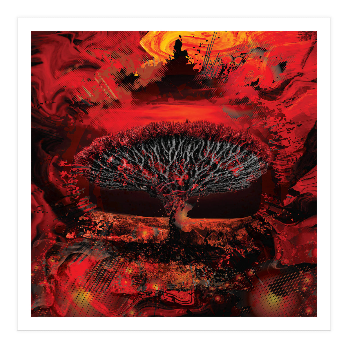 Socotra Dragon Blood tree (Print Only)