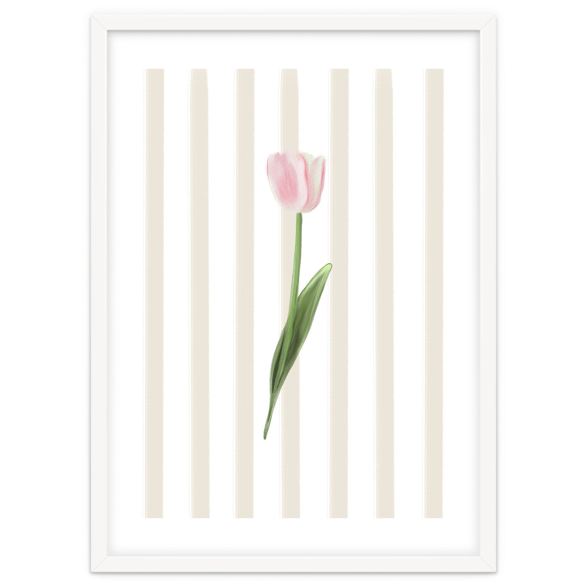 Single Tulip