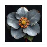 Hellebore | Silver Magic (Print Only) thumbnail