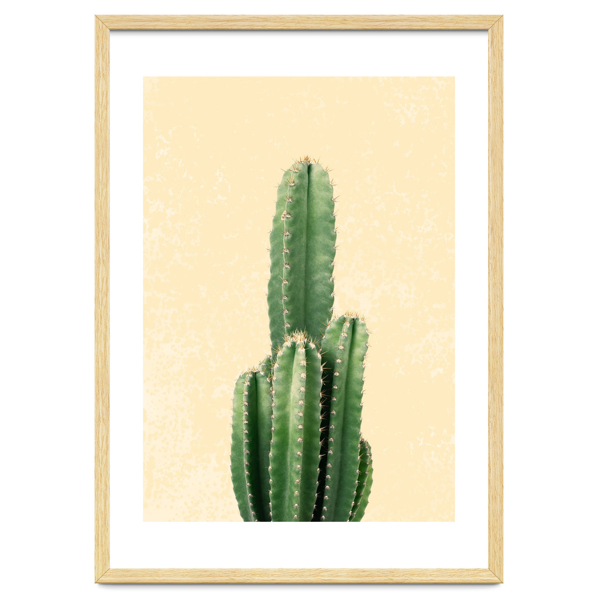 Tall Cactus, Minimal Desert Saguaro Art