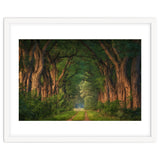 Soft morning light thumbnail