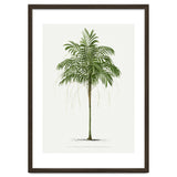 Oswald de Kerchove de Denterghem – Vintage Palm Tree Illustration (1878) thumbnail