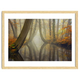 Bent trees in autumn thumbnail