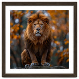 Majestic Lion Sitting On A Rock In Autumn Forest thumbnail