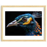 Close Up Of A Peacock Bird Head Eye thumbnail