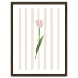 Single Tulip thumbnail