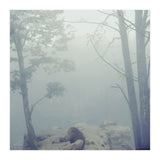 Silence of breath - 02 (Print Only) thumbnail