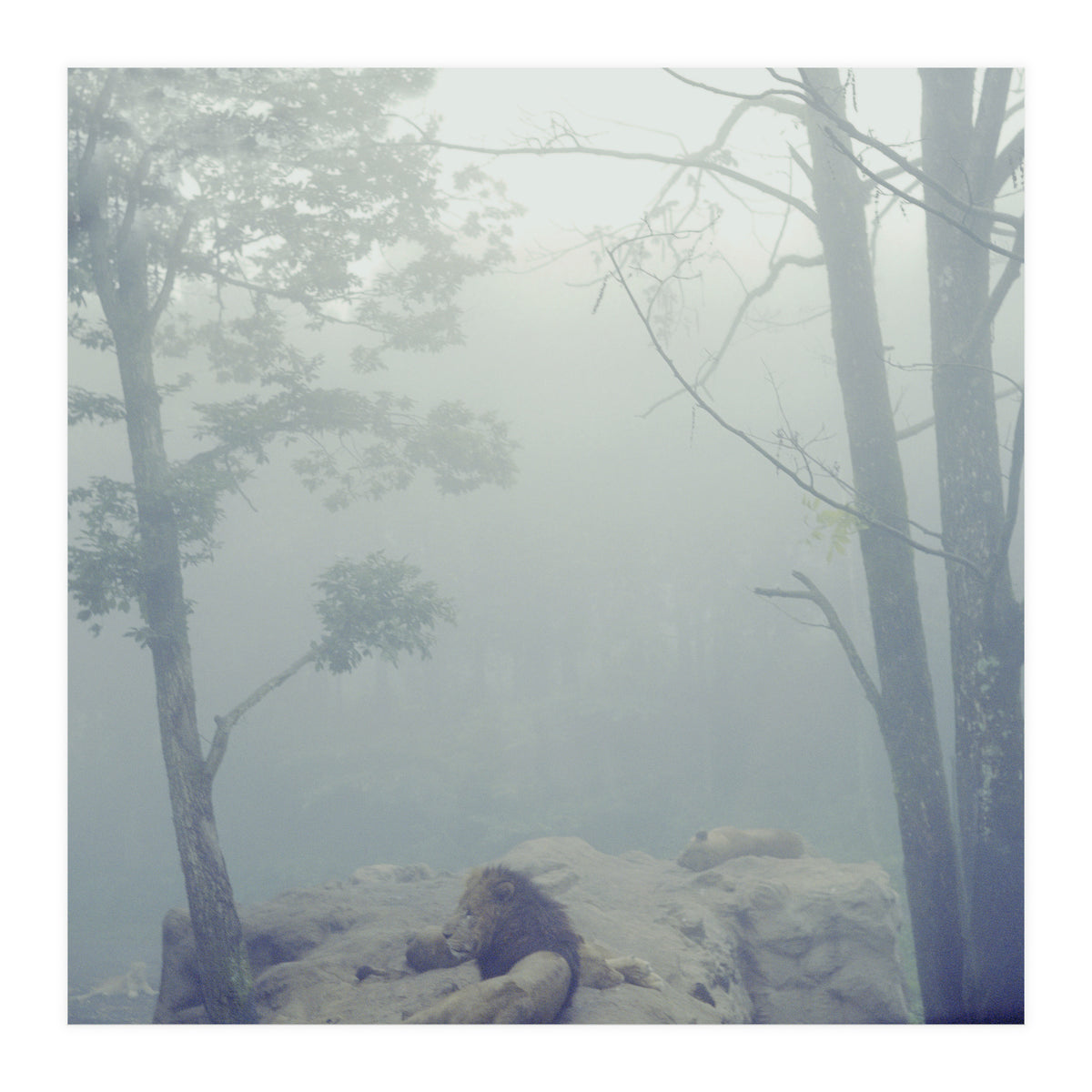 Silence of breath - 02 (Print Only)