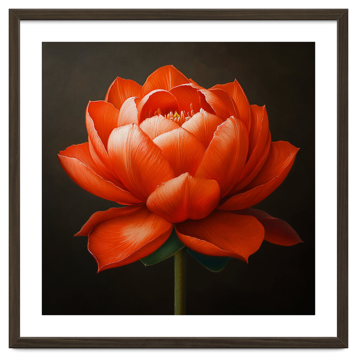 Double Lotus | Scarlet Solace