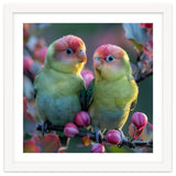 Two Lovebirds On A Branch Surrounded By Berries thumbnail