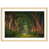 Soft morning light thumbnail