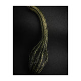 Gourds No 9 Color Version (Print Only) thumbnail