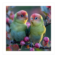 Two Lovebirds On A Branch Surrounded By Berries (Print Only)