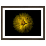 Backyard Flowers No 10 Color Version thumbnail