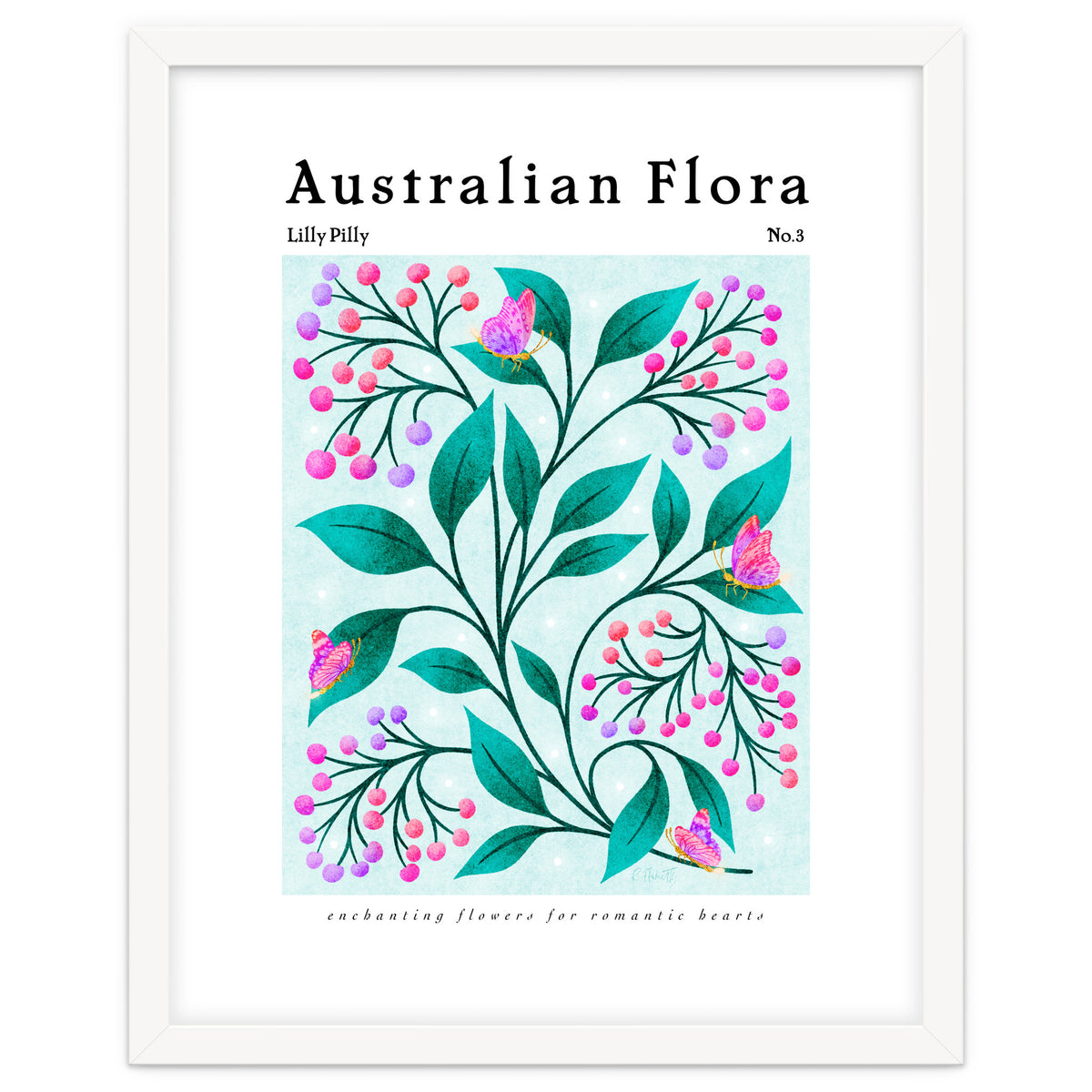 Australian Flora: Lilly Pilly