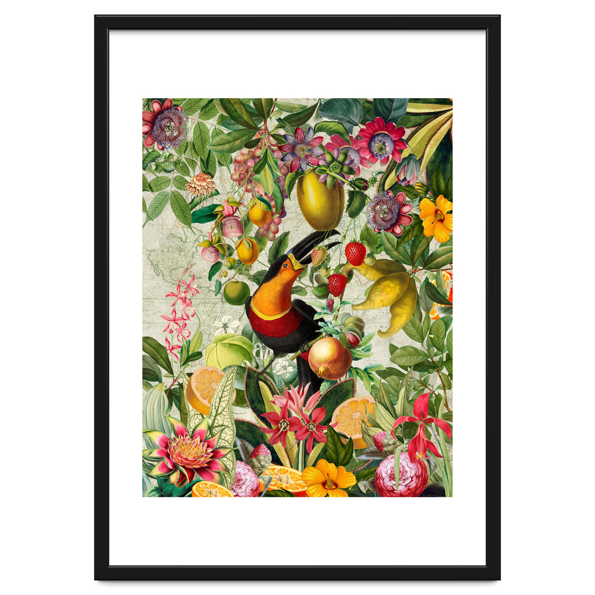 Toucan vintage jungle 1