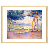 Pines Along the Shore. thumbnail