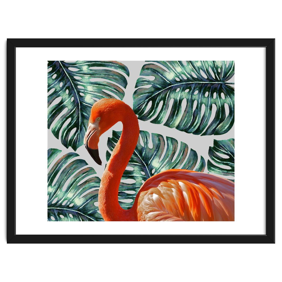 Flamingo Self Portrait