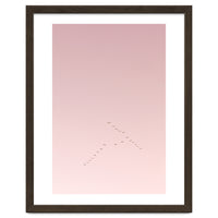Graceful flight amidst the pink horizon