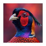 Close Up Pheasant Bird Head Detailed Feathers (Print Only) thumbnail
