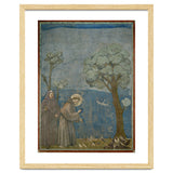 Saint Francis of Assisi preaching to the birds. Giotto. GIOTTO DE BONDONE (1266-1337). thumbnail