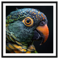 Close Up Of A Colorful Parrot's Face