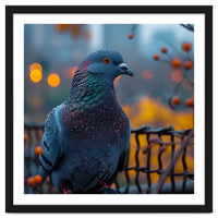 Pigeon With Water Droplets