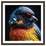 Close Up Of A Colorful Bird In The Wild thumbnail