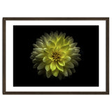 Backyard Flowers No 128 Color Version thumbnail