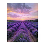 Infinite Horizons (Print Only) thumbnail
