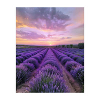 Infinite Horizons (Print Only)