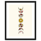 Floral Phases Of The Moon thumbnail