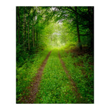 Green Forest Trail (Print Only) thumbnail