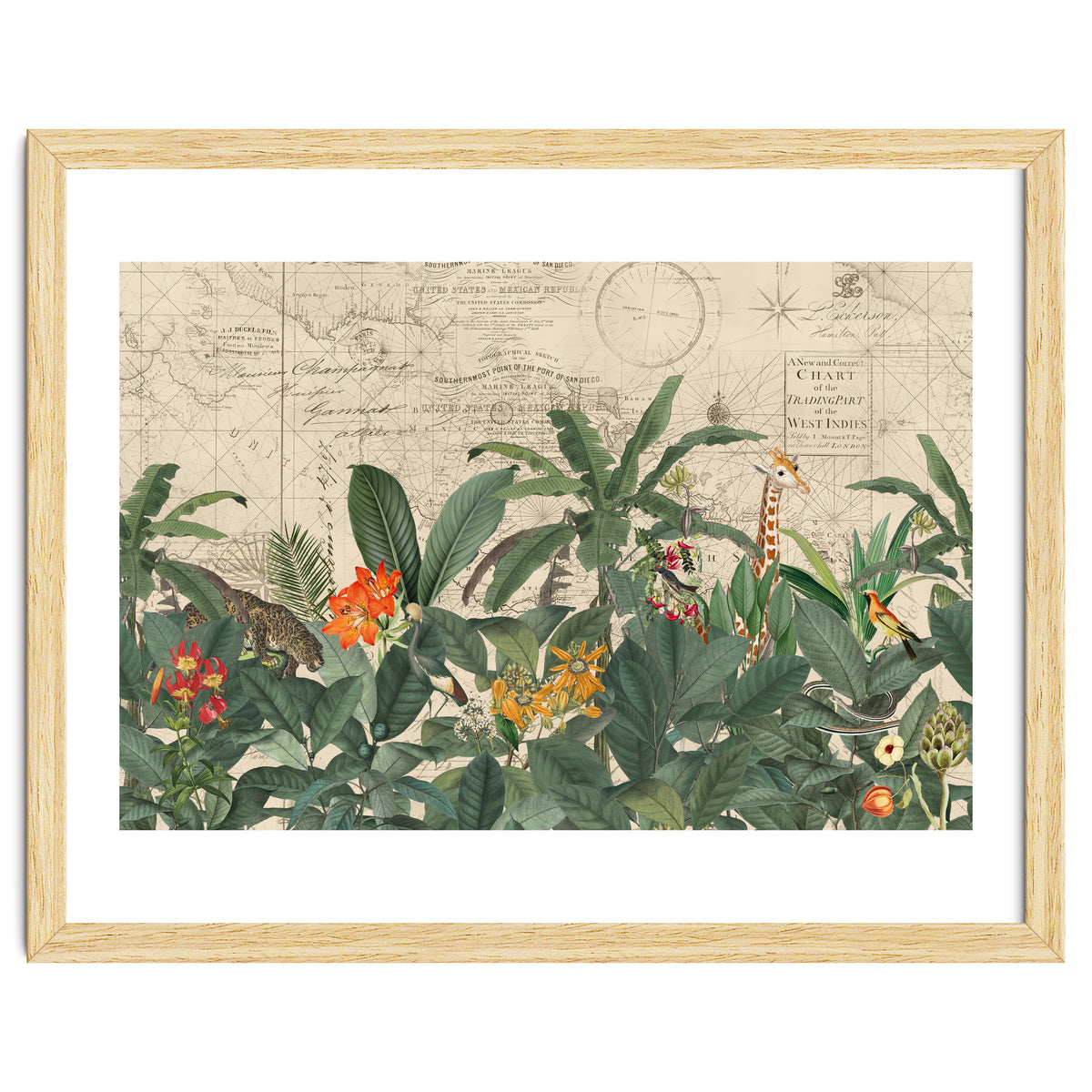 Explore The New World Wild Animals